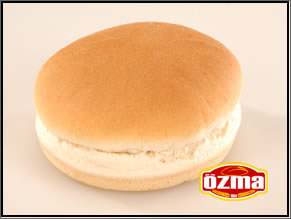 dublehamburger.jpg